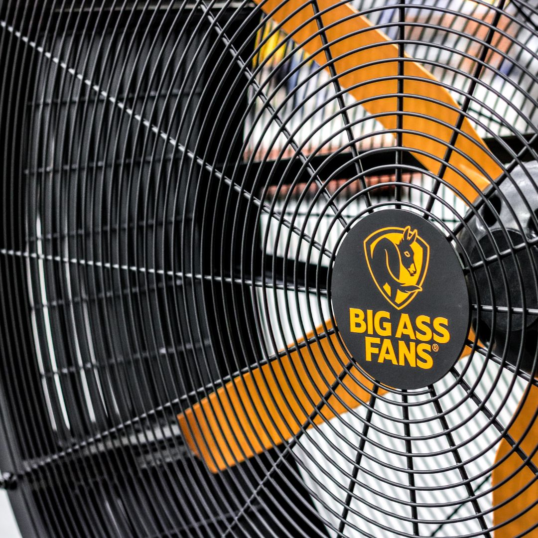 großer-Fitness-Ventilator-fuer-den-Sportbereich großer-Fitness-Ventilator-fuer-den-Sportbereich